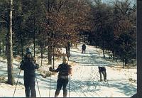 Previous image
